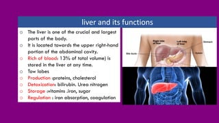 liver and its functions
o The liver is one of the crucial and largest
parts of the body.
o It is located towards the upper right-hand
portion of the abdominal cavity.
o Rich of blood: 13% of total volume) is
stored in the liver at any time.
o Tow lobes
o Production :proteins, cholesterol
o Detoxication: bilirubin. Urea nitrogen
o Storage :vitamins .iron, sugar
o Regulation : iron absorption, coagulation
 
