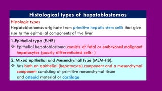 Histological types of hepatoblastomas
1-Epithelial type (E-HB)
❖ Epithelial hepatoblastoma consists of fetal or embryonal malignant
hepatocytes (poorly differentiated cells- )
2. Mixed epithelial and Mesenchymal type (MEM-HB).
❖ has both an epithelial (hepatocyte) component and a mesenchymal
component consisting of primitive mesenchymal tissue
and osteoid material or cartilage
Histologic types
Hepatoblastomas originate from primitive hepatic stem cells that give
rise to the epithelial components of the liver
 