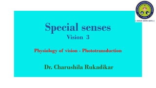 lecture 3/2022 Special senses - Vision 3- Physiology of vision-  Photo transduction