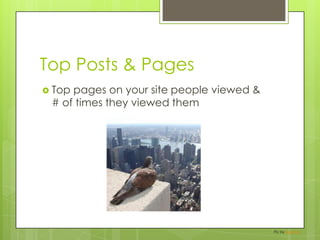 Top Posts & PagesTop pages on your site people viewed & # of times they viewed themPic by ZeroOne
