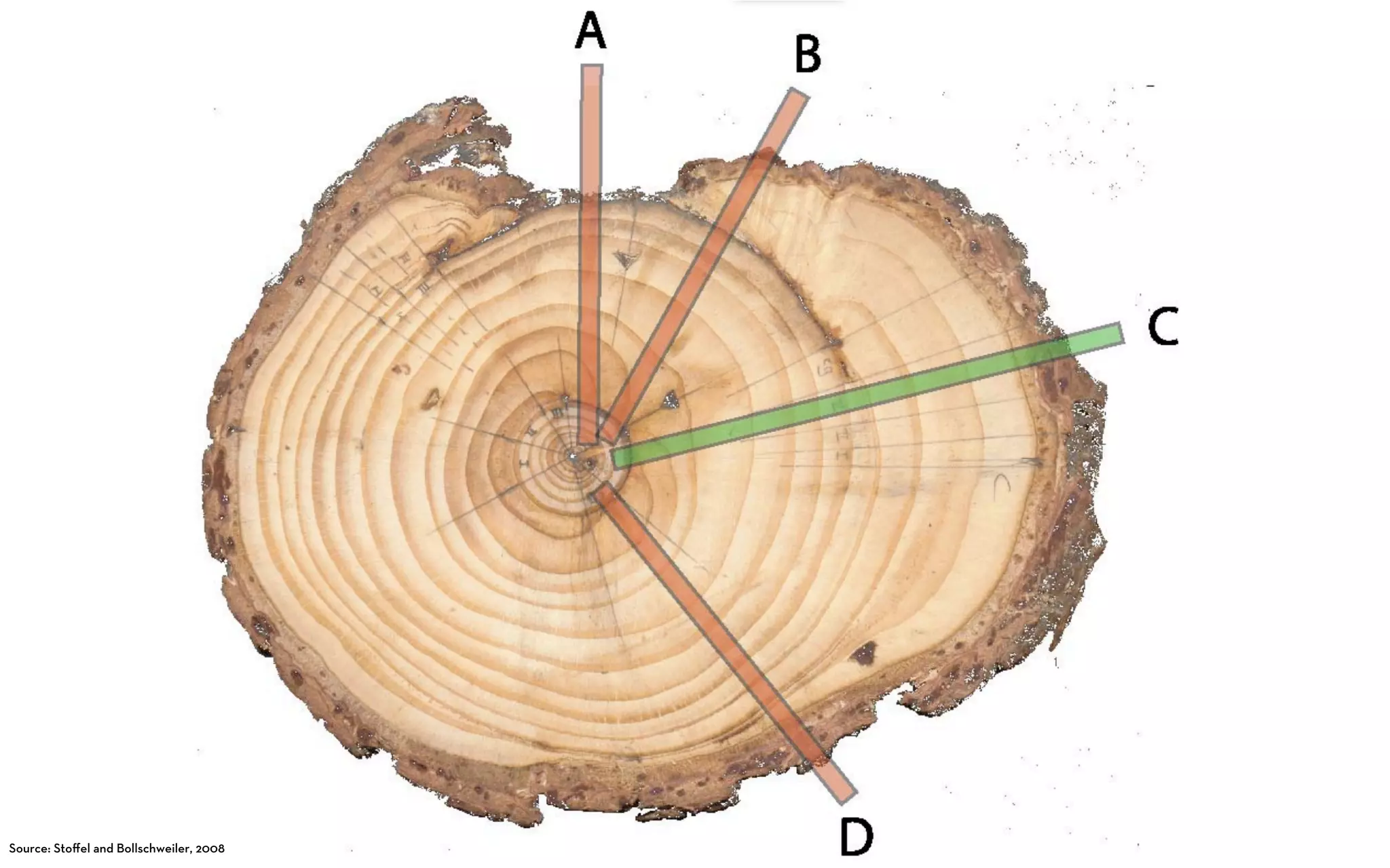 Source: Stoﬀel and Bollschweiler, 2008
 