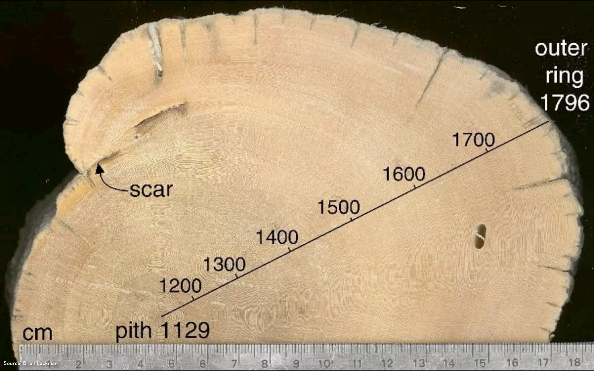 Source: Brian Luckman
 