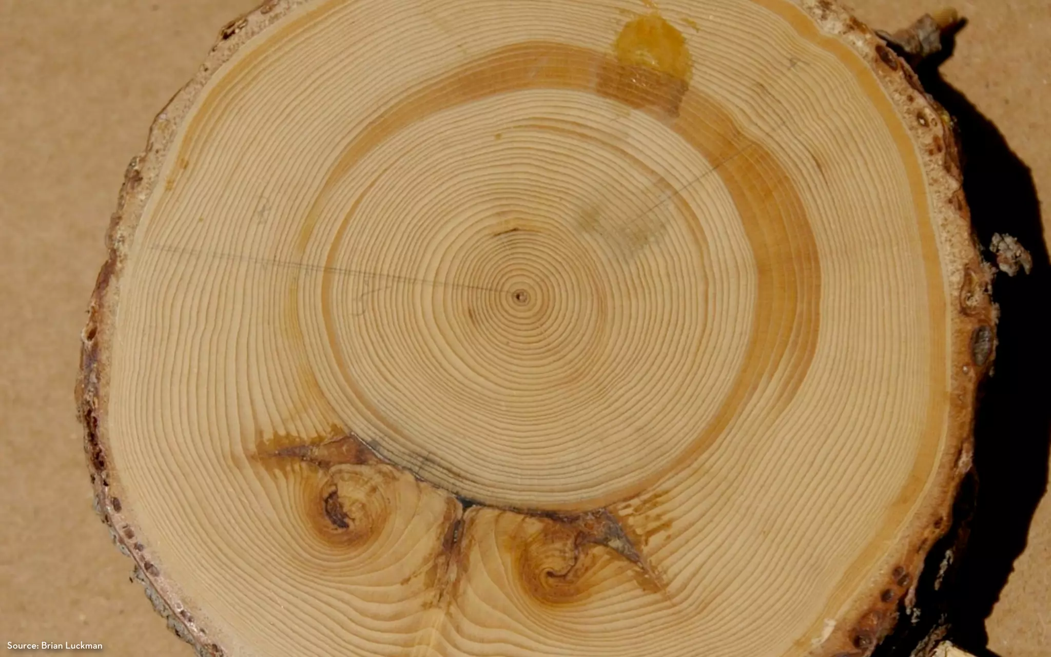 Source: Brian Luckman
 