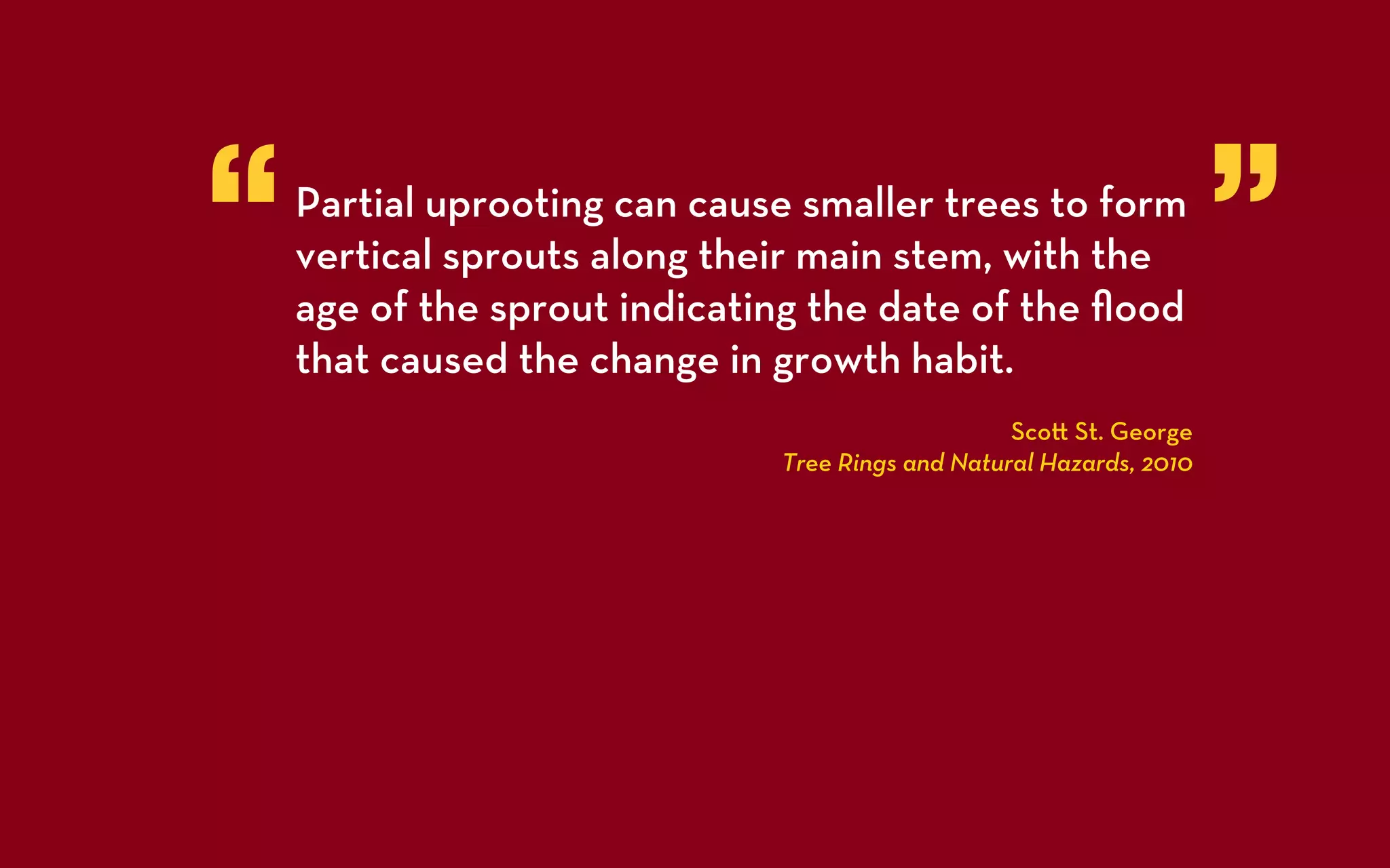 “   Partial uprooting can cause smaller trees to form
    vertical sprouts along their main stem, with the
    age of the sprout indicating the date of the ﬂood
                                                                     ”
    that caused the change in growth habit.
                                                  Sco St. George
                              Tree Rings and Natural Hazards, 2010
 