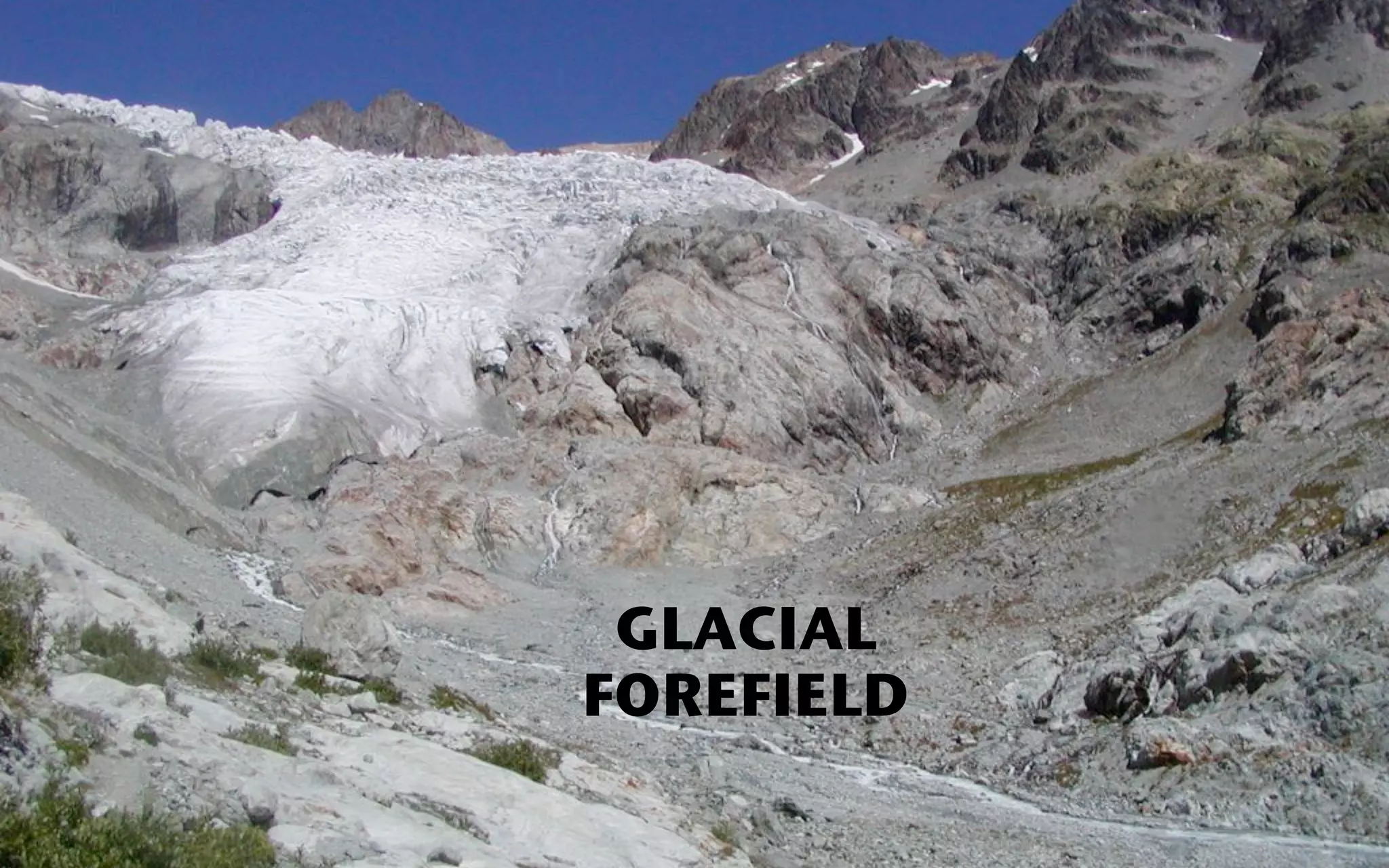 GLACIAL
FOREFIELD
 