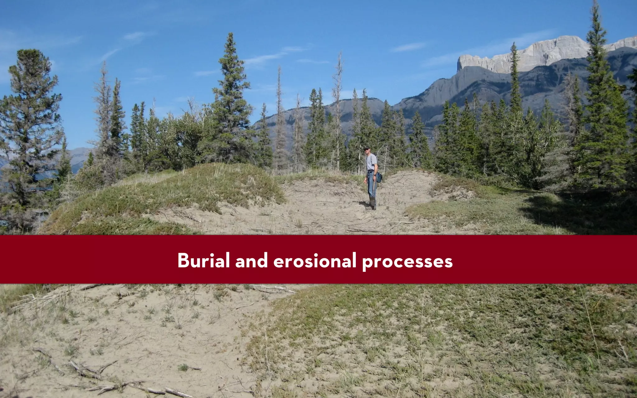 Burial and erosional processes
 
