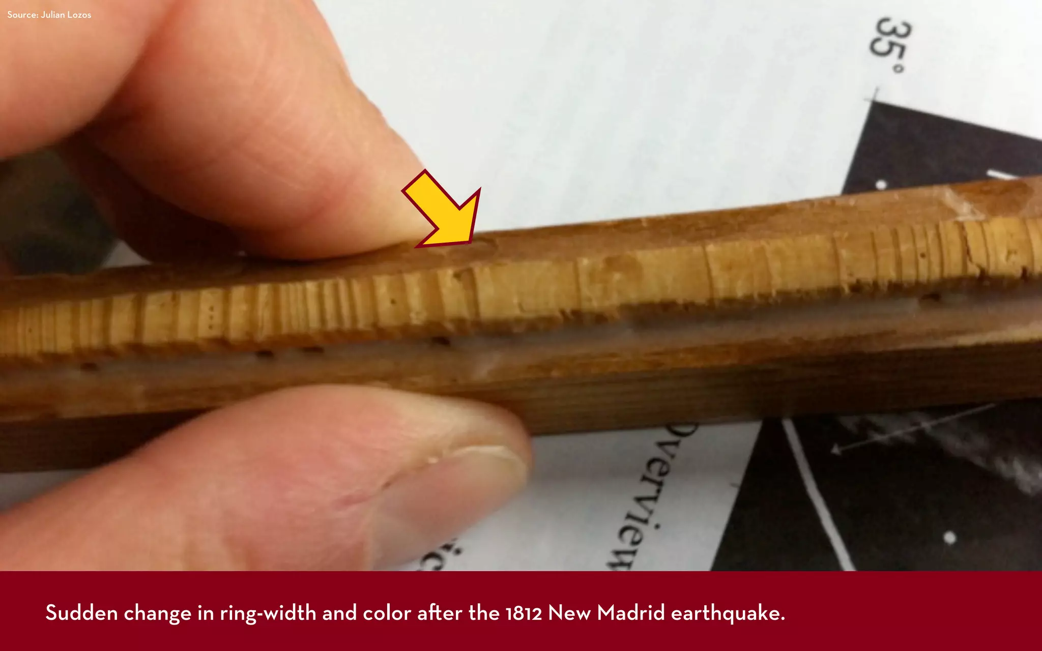 Source: Julian Lozos




         Sudden change in ring-width and color a er the 1812 New Madrid earthquake.
 