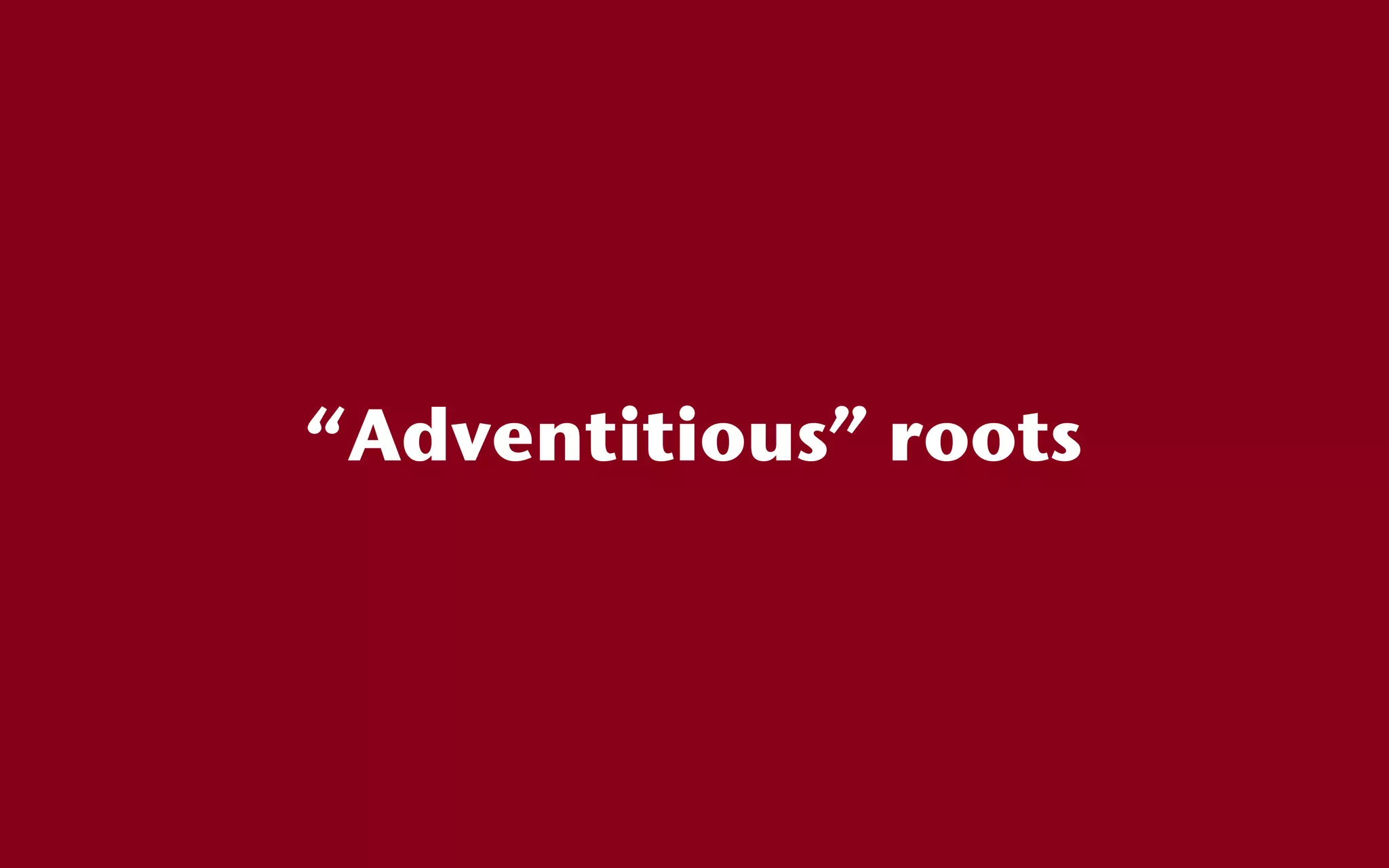 “Adventitious” roots
 