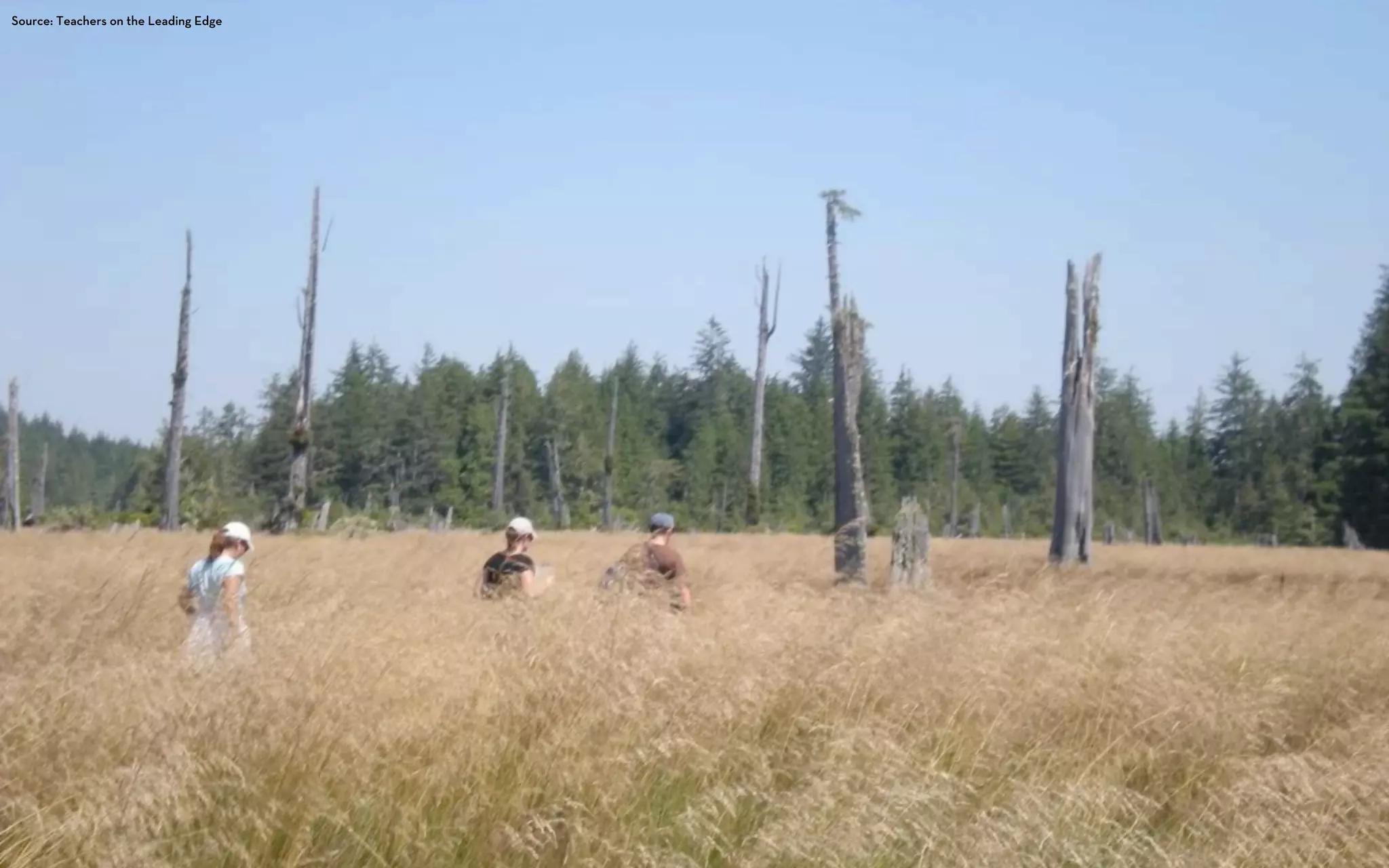 Source: Teachers on the Leading Edge
 