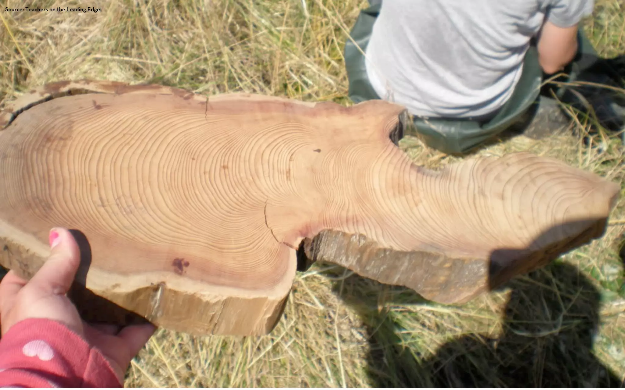 Source: Teachers on the Leading Edge
 