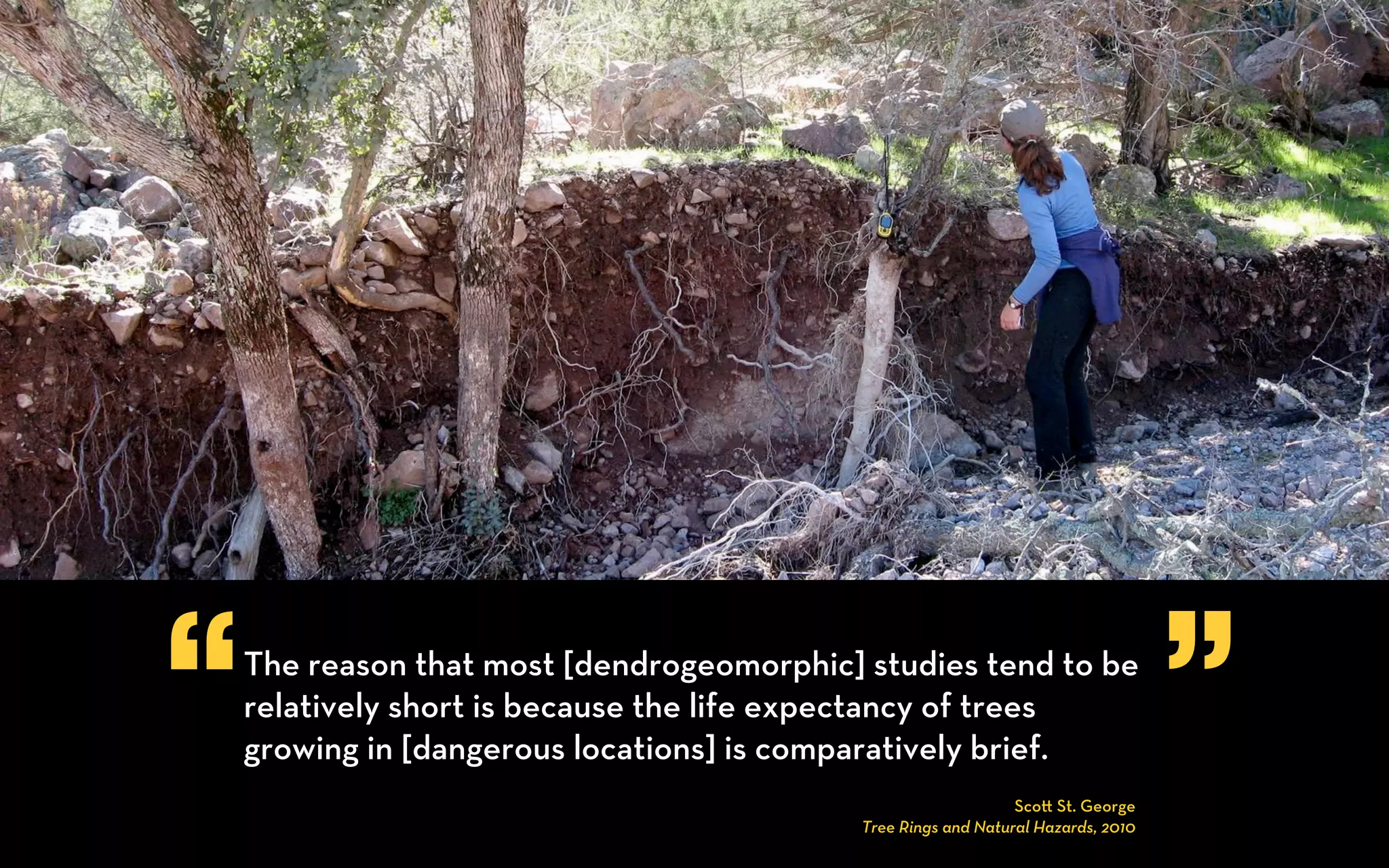 “   The reason that most [dendrogeomorphic] studies tend to be
    relatively short is because the life expectancy of trees
    growing in [dangerous locations] is comparatively brief.
                                                                                   ”
                                                                Sco St. George
                                            Tree Rings and Natural Hazards, 2010
 