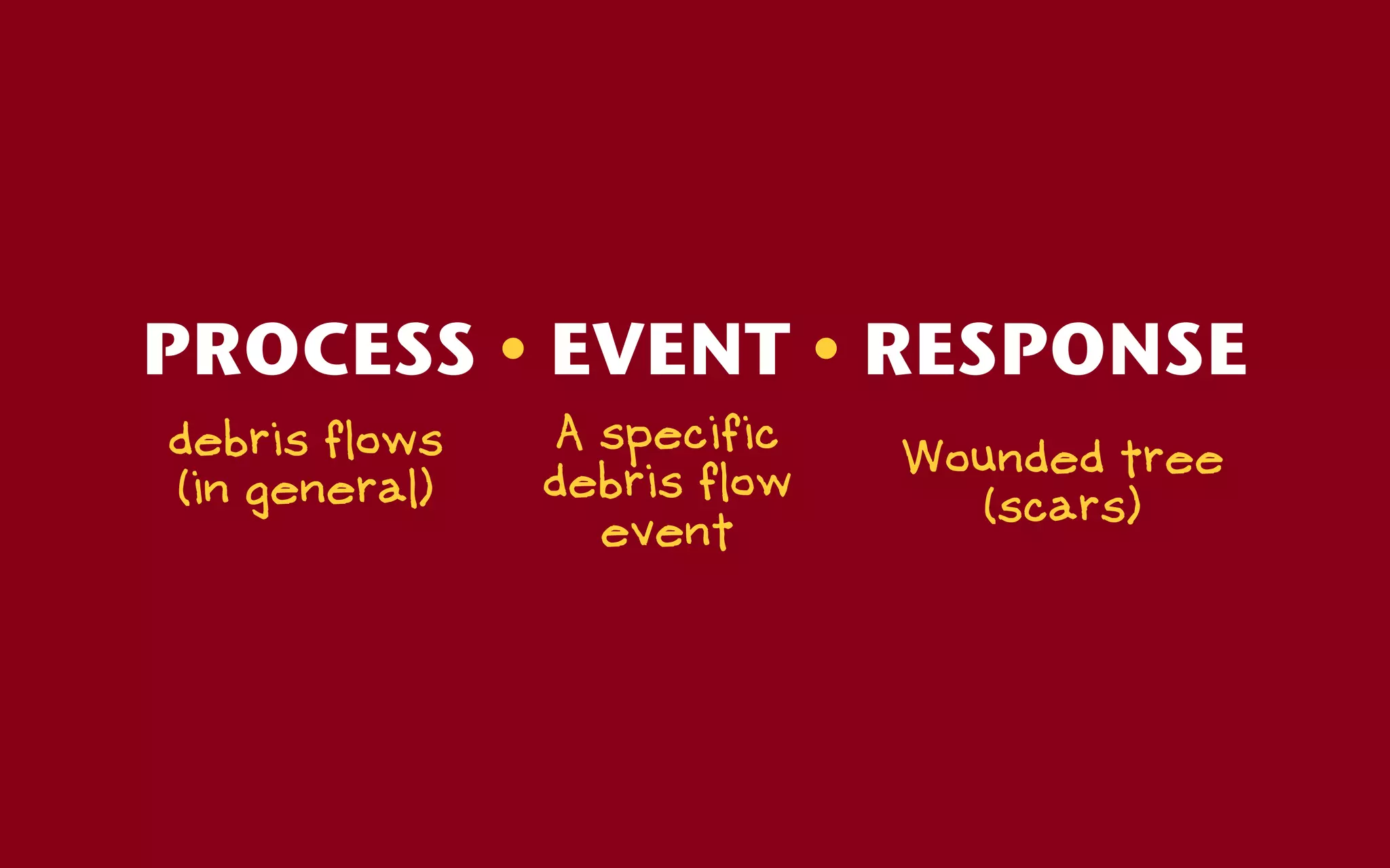 PROCESS • EVENT • RESPONSE
debris flows    A specific
                             Wounded tree
(in general)   debris flow
                               (scars)
                  event
 