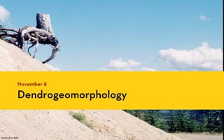 November 8

                  Dendrogeomorphology


Source: Erica Bigio
 