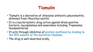 Tiamulin
• Tiamulin is a derivative of diterpine antibiotic pleuromutilin,
obtained from Pleurotus mutilis.
• It is a bacteriostatic drug active against Gram positive
bacteria, mycoplasmas and anaerobes including Treponema
hyodysenteriae.
• It acts through inhibition of protein synthesis by binding to
the 50S subunit of the bacterial ribosome.
• The drug is well absorbed orally.
 