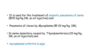 • It is used for the treatment of enzootic pneumonia of swine
(@15 mg/kg IM, an oil injection) and
• Pneumonia of claves by Mycoplasma (@ 20 mg/kg, IM),
• In swine dysentery caused by T.hyodysenteriaca (10 mg/kg,
IM, an oil injection) and
• mycoplasmal arthritis in pigs.
 