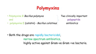 Polymyxins
• Polymyxine B Bacillus polymyxa Two clinically important
and polypeptide
• polymyxine E (colistin) - Bacillus colistinus antibiotics
• Both the drugs are rapidly bactericidal,
narrow spectrum antibiotics,
highly active against Gram-ve Gram +ve bacteria.
 