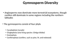 • Angiosperms now dominate more terrestrial ecosystems, though
conifers still dominate in some regions including the northern
latitudes
• The gymnosperms consist of four phyla
• Cycadophyta (cycads)
• Gingkophyta (one living species: Ginkgo biloba)
• Gnetophyta
• Coniferophyta (conifers, such as pine, fir, and redwood)
Gymnosperm Diversity
 