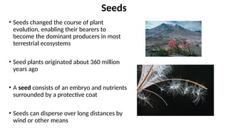 • Seeds changed the course of plant
evolution, enabling their bearers to
become the dominant producers in most
terrestrial ecosystems
• Seed plants originated about 360 million
years ago
• A seed consists of an embryo and nutrients
surrounded by a protective coat
• Seeds can disperse over long distances by
wind or other means
Seeds
 