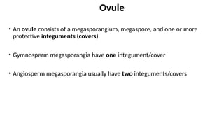• An ovule consists of a megasporangium, megaspore, and one or more
protective integuments (covers)
• Gymnosperm megasporangia have one integument/cover
• Angiosperm megasporangia usually have two integuments/covers
Ovule
 