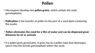 • Microspores develop into pollen grains, which contain the male
gametophytes
• Pollination is the transfer of pollen to the part of a seed plant containing
the ovules
* Pollen eliminates the need for a film of water and can be dispersed great
distances by air or animals
• If a pollen grain germinates, it gives rise to a pollen tube that discharges
sperm into the female gametophyte within the ovule
Pollen
 