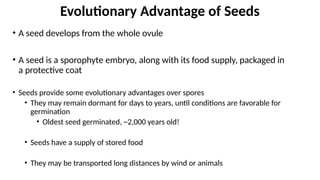 • A seed develops from the whole ovule
• A seed is a sporophyte embryo, along with its food supply, packaged in
a protective coat
Evolutionary Advantage of Seeds
• Seeds provide some evolutionary advantages over spores
• They may remain dormant for days to years, until conditions are favorable for
germination
• Oldest seed germinated, ~2,000 years old!
• Seeds have a supply of stored food
• They may be transported long distances by wind or animals
 