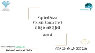 Please check our Editing File.
Popliteal Fossa,
Posterior Compartment
of leg & Sole of foot
Lecture 18
{ُ‫ﻪ‬ُ‫ﺒ‬ْ‫ﺴ‬َ‫ﺣ‬ َ‫ﻮ‬ُ‫ﻬ‬َ‫ﻓ‬ ِ‫ﻪ‬‫اﻟﻠ‬ ‫َﻰ‬‫ﻠ‬َ‫ﻋ‬ ْ‫ﻞ‬‫َﻛ‬‫ﻮ‬َ‫ﺘ‬َ‫ﻳ‬ ْ‫ﻦ‬َ‫ﻣ‬َ‫و‬}
‫ﻟﻠﻤﺬاﻛﺮة‬ ‫اﻷﺳﺎﺳﻲ‬ ‫اﻟﻤﺼﺪر‬ ‫ﻋﻦ‬ ‫ﯾﻐﻨﻲ‬ ‫ﻻ‬ ‫اﻟﻌﻤﻞ‬ ‫ھﺬا‬
 