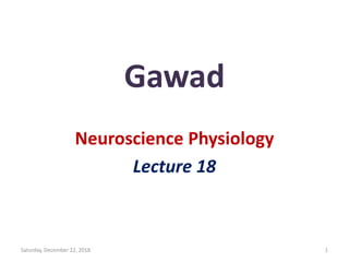 Lecture+18+ppt | PPT