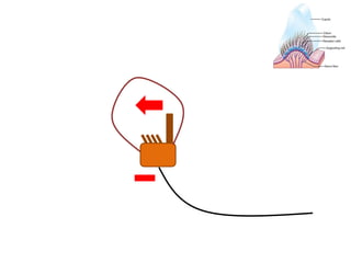 Lecture+18+ppt | PPT