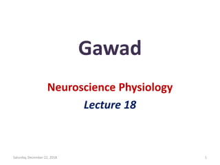 Gawad
Neuroscience Physiology
Lecture 18
Saturday, December 22, 2018 1
 