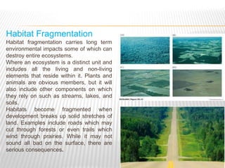 Fragmentation Environment Lecture 19-20 Environmental Degradation.pptx