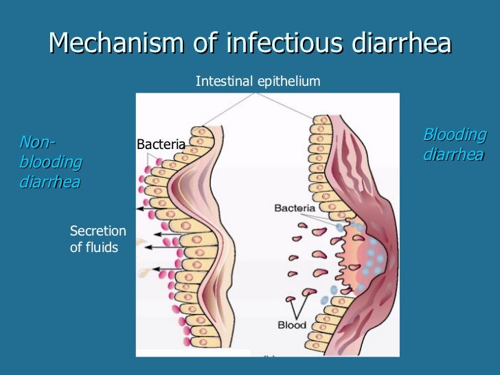 Bohomolets Microbiology Lecture #19