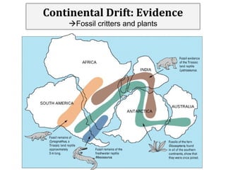 Continental Drift: Evidence
Fossil critters and plants

 