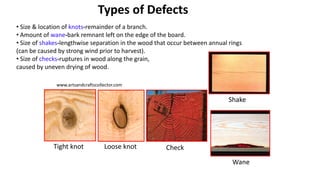 Wane Defect In Timber Comprehensive Overview of Wood Properties and Engineered Wood Products ...