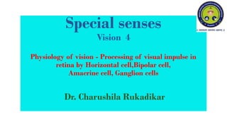 Lecture 4/2022 Special senses -Vision  4 -Physiology of vision - Processing of visual impulse in retina by different cells