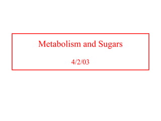 Metabolism and Sugars
4/2/03
 