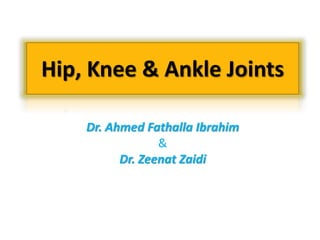Hip, Knee & Ankle Joints
Dr. Ahmed Fathalla Ibrahim
&
Dr. Zeenat Zaidi
 