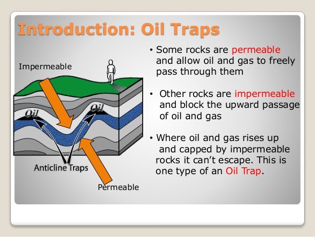 Hydrocarbon Traps & Seals