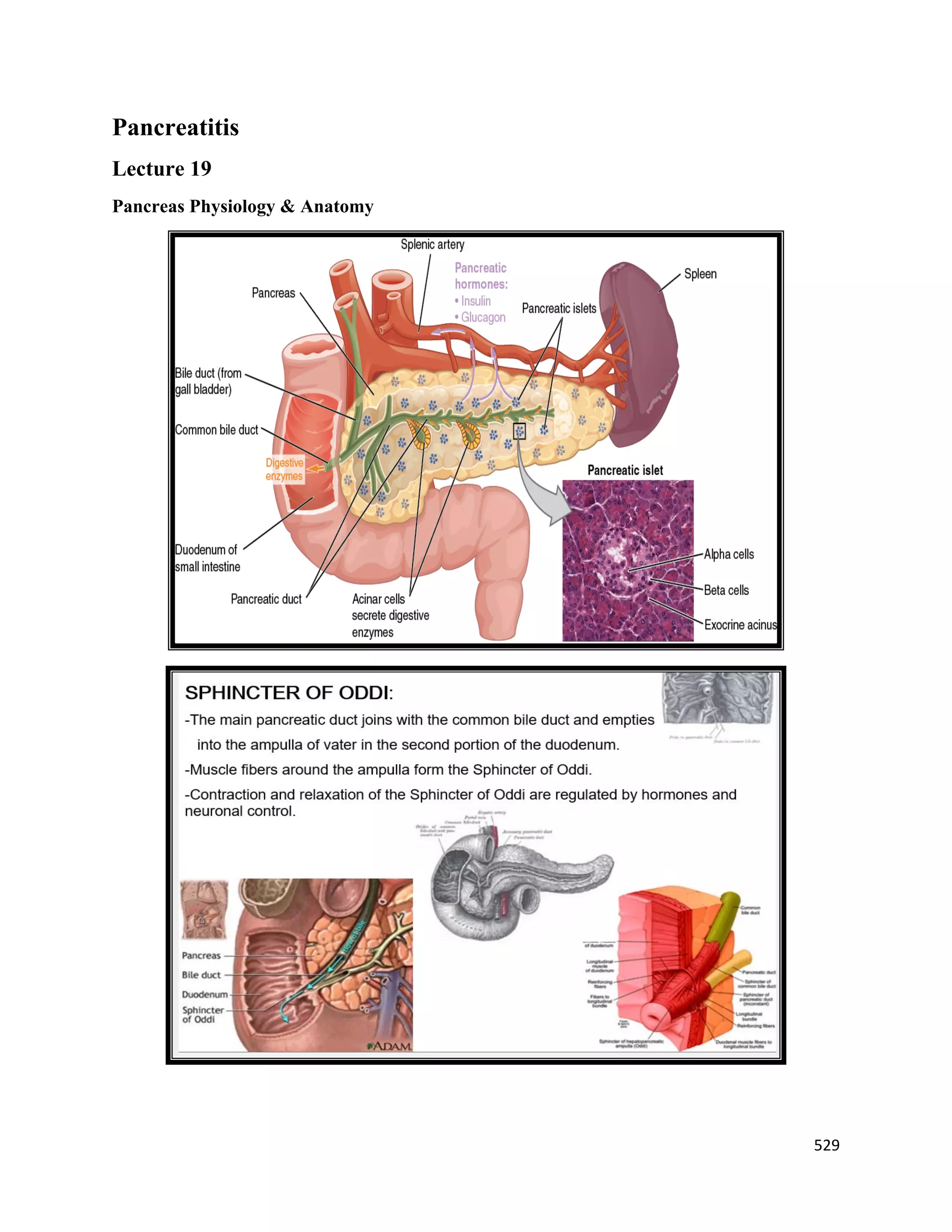 529 
 
Pancreatitis
Lecture 19
Pancreas Physiology & Anatomy
 
