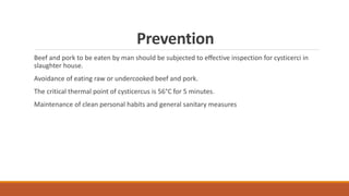 Prevention
Beef and pork to be eaten by man should be subjected to eﬀective inspection for cysticerci in
slaughter house.
Avoidance of eating raw or undercooked beef and pork.
The critical thermal point of cysticercus is 56°C for 5 minutes.
Maintenance of clean personal habits and general sanitary measures
 