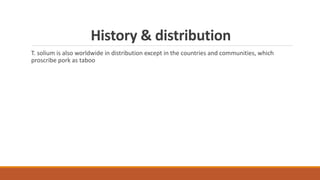 History & distribution
T. solium is also worldwide in distribution except in the countries and communities, which
proscribe pork as taboo
 