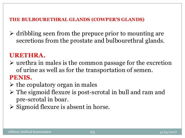 Lecture 1 a.i lecture 1