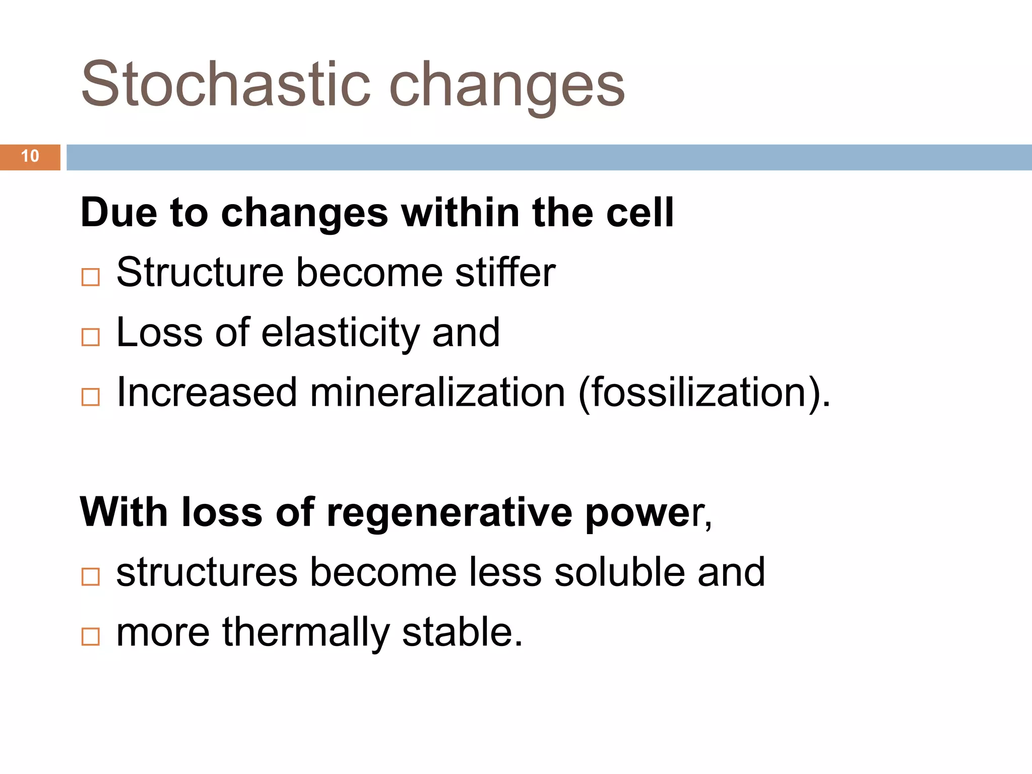 Stochastic changes
Due to changes within the cell
 Structure become stiffer
 Loss of elasticity and
 Increased mineralization (fossilization).
With loss of regenerative power,
 structures become less soluble and
 more thermally stable.
10
 