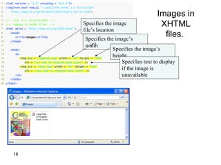 1    <?xml version = "1.0" encoding = "utf-8"?>
2    <!DOCTYPE html PUBLIC "-//W3C//DTD XHTML 1.0 Strict//EN"
3
4
        "http://www.w3.org/TR/xhtml1/DTD/xhtml1-strict.dtd">
                                                                                       Images in
                                                                                        XHTML
5    <!-- Fig. 4.5: picture.html -->
6    <!-- Images in XHTML files. -->                  Specifies the image
7    <html xmlns = "http://www.w3.org/1999/xhtml">
                                                      file’s location
8
9
        <head>
           <title>Images</title>
                                                       Specifies the image’s
                                                                                         files.
10      </head>
11                                                     width
12      <body>                                                      Specifies the image’s
13
14
           <p>
              <img src = "cpphtp6.jpg" width = "92" height = "120"
                                                                    height
15               alt = "C++ How to Program book cover" />               Specifies text to display
16
17
              <img src = "jhtp.jpg" width = "92" height = "120"
                 alt = "Java How to Program book cover" />
                                                                        if the image is
18         </p>                                                         unavailable
19      </body>
20 </html>




         18
 