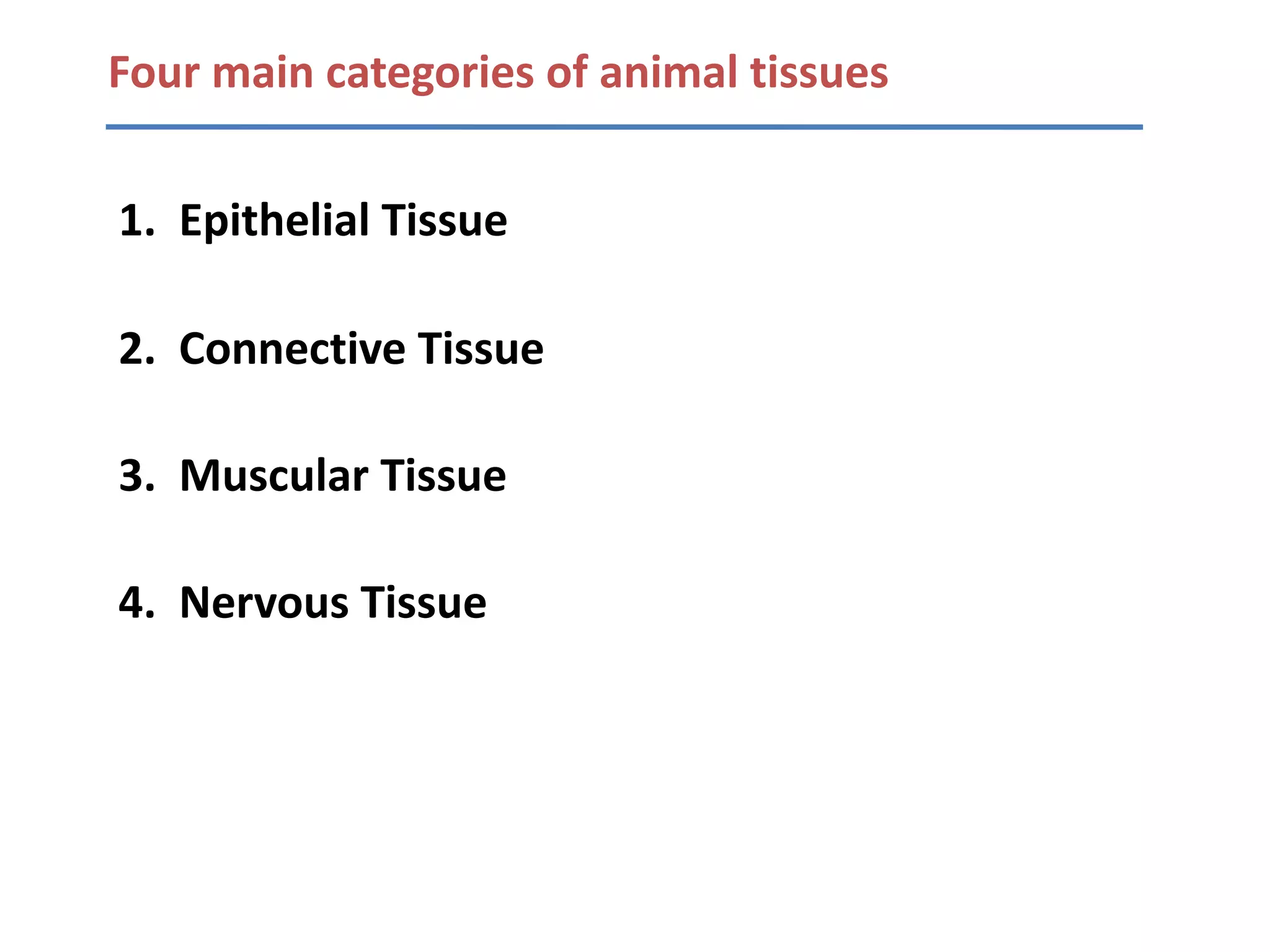 Four main categories of animal tissues


1. Epithelial Tissue

2. Connective Tissue

3. Muscular Tissue

4. Nervous Tissue
 