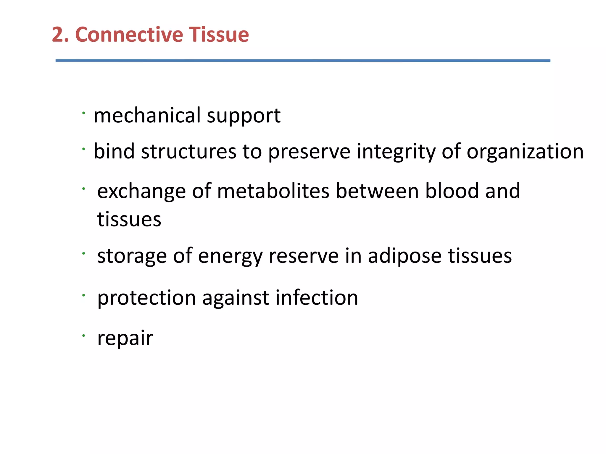2. Connective Tissue


   •
       mechanical support
   •
       bind structures to preserve integrity of organization
   •
       exchange of metabolites between blood and
       tissues
   •
       storage of energy reserve in adipose tissues
   •
       protection against infection
   •
       repair
 