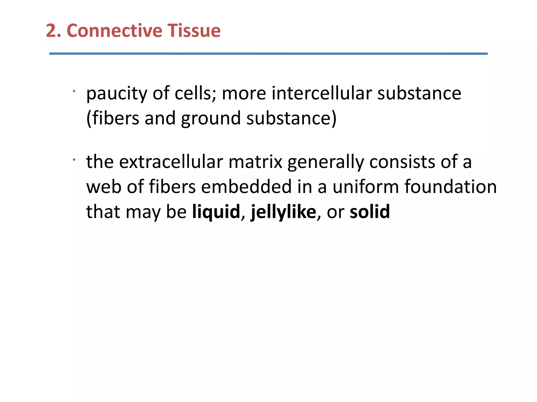 2. Connective Tissue

   •
       paucity of cells; more intercellular substance
       (fibers and ground substance)
   •
       the extracellular matrix generally consists of a
       web of fibers embedded in a uniform foundation
       that may be liquid, jellylike, or solid
 