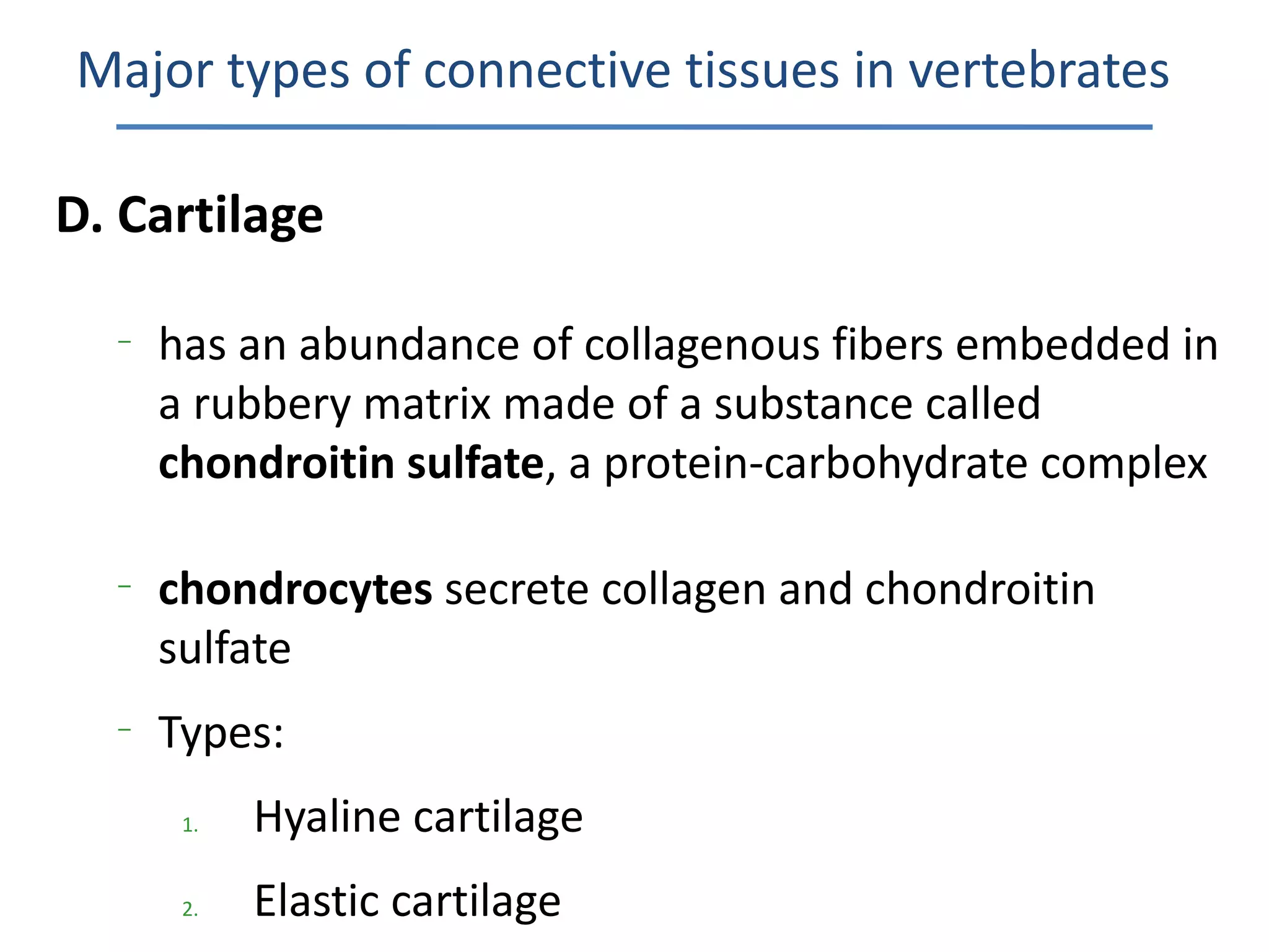 Major types of connective tissues in vertebrates

D. Cartilage

  –
      has an abundance of collagenous fibers embedded in
      a rubbery matrix made of a substance called
      chondroitin sulfate, a protein-carbohydrate complex

  –
      chondrocytes secrete collagen and chondroitin
      sulfate
  –
      Types:
       1.   Hyaline cartilage
       2.   Elastic cartilage
 