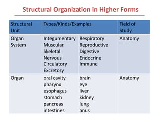 Structural Organization in Higher Forms
Structural   Types/Kinds/Examples           Field of
Unit                                        Study
Organ        Integumentary   Respiratory    Anatomy
System       Muscular        Reproductive
             Skeletal        Digestive
             Nervous         Endocrine
             Circulatory     Immune
             Excretory
Organ        oral cavity     brain          Anatomy
             pharynx         eye
             esophagus       liver
             stomach         kidney
             pancreas        lung
             intestines      anus
 