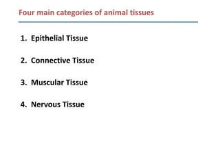 Four main categories of animal tissues


1. Epithelial Tissue

2. Connective Tissue

3. Muscular Tissue

4. Nervous Tissue
 