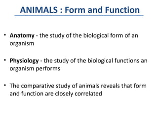 ANIMALS : Form and Function

• Anatomy - the study of the biological form of an
  organism

• Physiology - the study of the biological functions an
  organism performs

• The comparative study of animals reveals that form
  and function are closely correlated
 